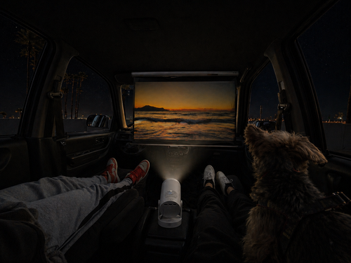 nothing better than two people enjoying cinematic sunset with their pet dog at the beach at night 